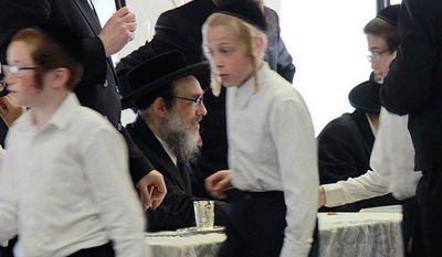 אורח במחנה הנופש: האדמו"ר מפאפא