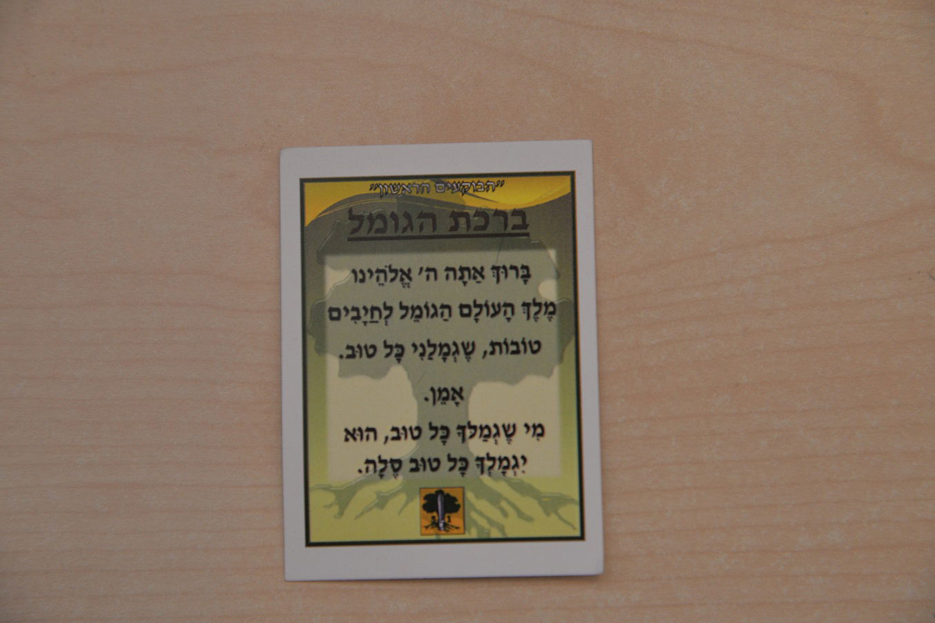 מהקרב לכותל: לוחמי גולני ברכו "הגומל" בכותל המערבי