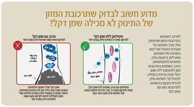 מחקרים מוכיחים: הרכב שמנים ללא שמן דקל בתרכובת מזון לתינוקות, מסייע לעיכול קל וסדיר