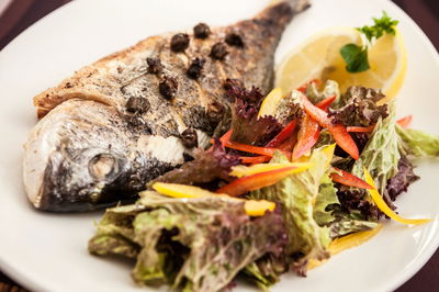 דג דניס שלם אפוי עם עשבי תבלין