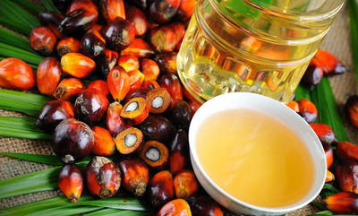 כך שמן דקל מזיק לבריאות שלכם