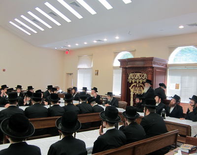 תיעוד: האדמו"ר מפאפא ביקר במחנה הנופש