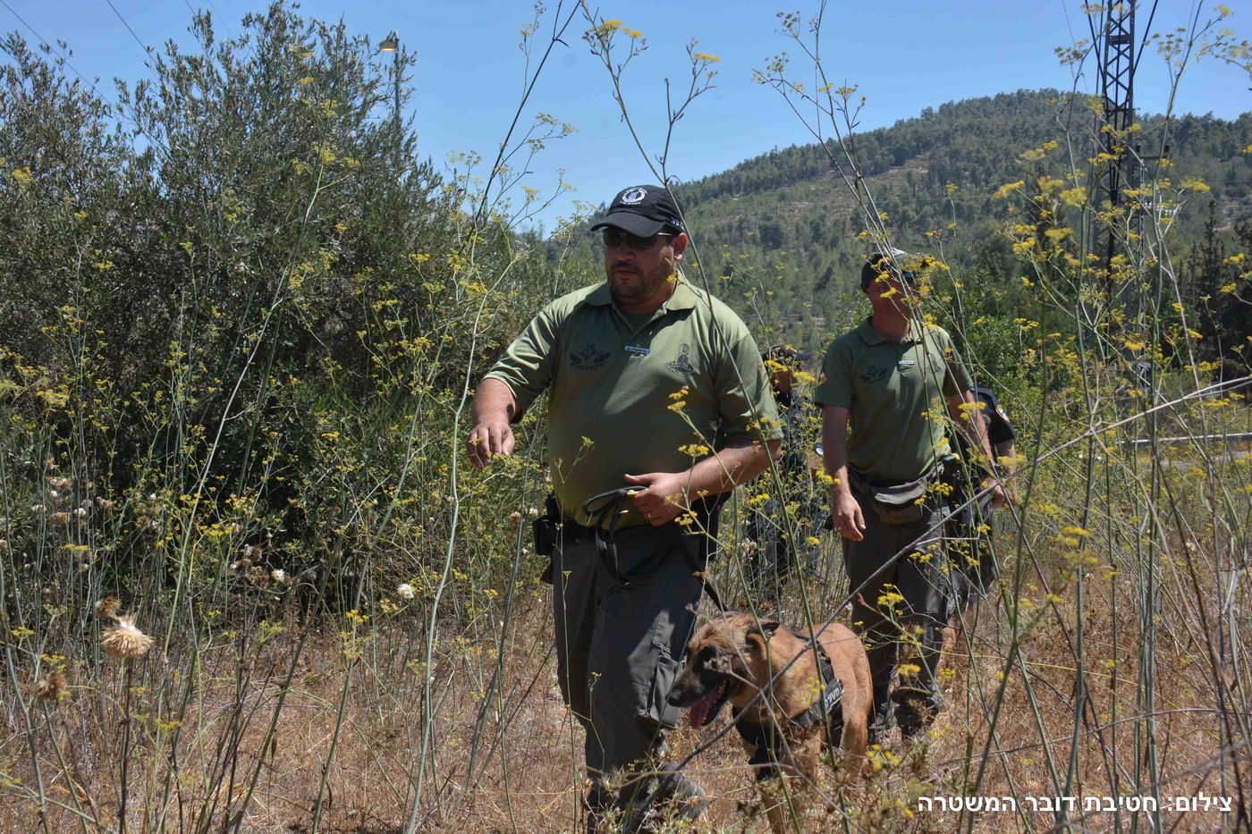 צפו: יום נוסף של חיפושים אחר אהרון סופר