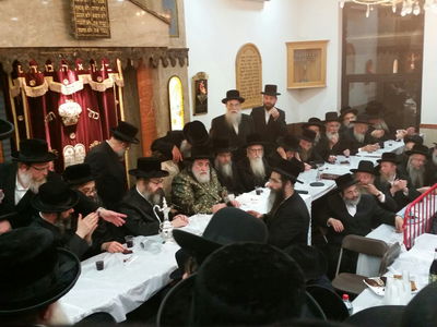 תיעוד: הרבי מויז'ניץ בביקור בבלגיה