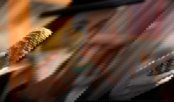 אילוסטרציה, למצולם אין קשר לכתבה