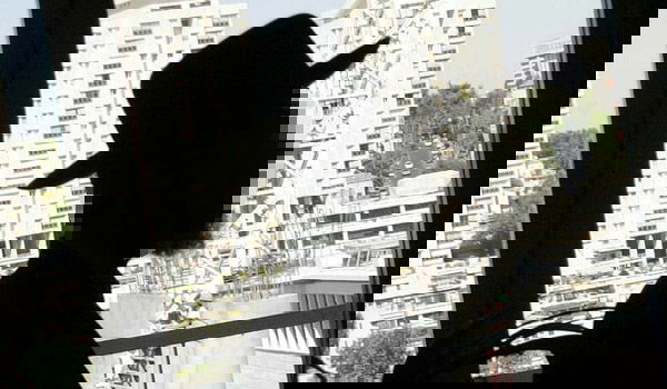 אילוסטרציה, למצולם אין קשר לכתבה