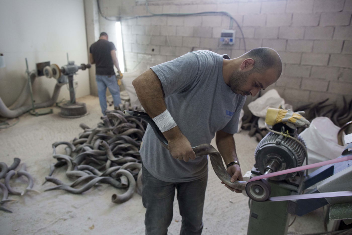 תיעוד מצולם: כך מכינים שופרות
