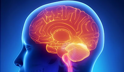 אילוסטרציה