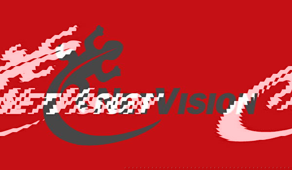 לוגו נטוויז'ן