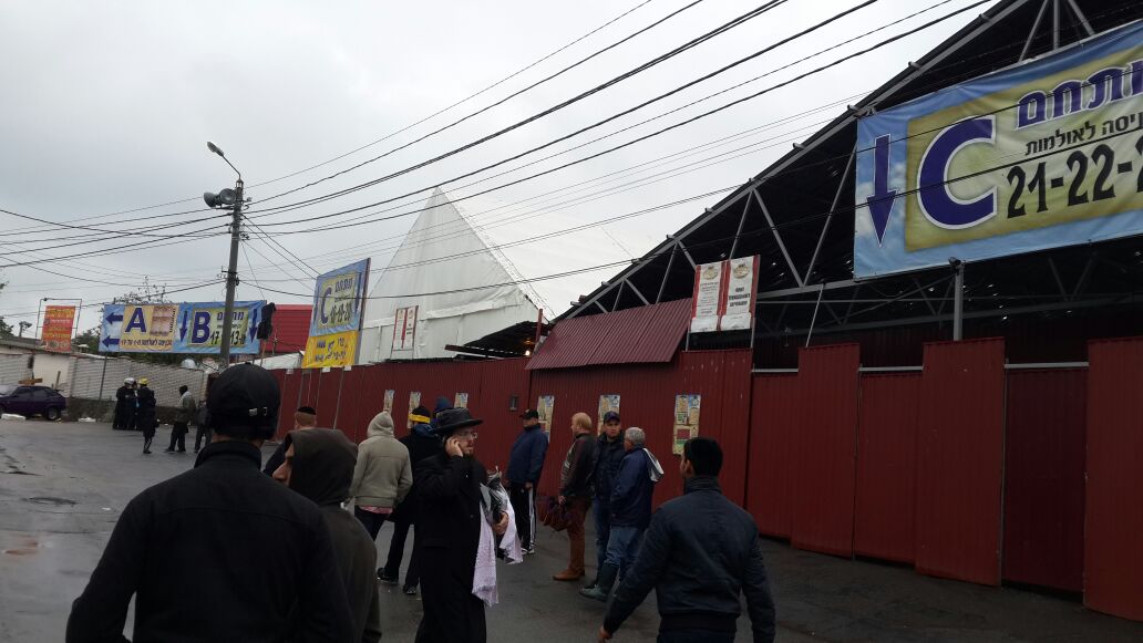 תיעוד: אלפים בציון רבי נחמן באומן