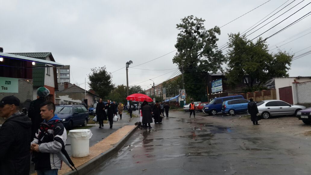 תיעוד: אלפים בציון רבי נחמן באומן