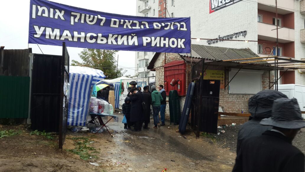 תיעוד: אלפים בציון רבי נחמן באומן