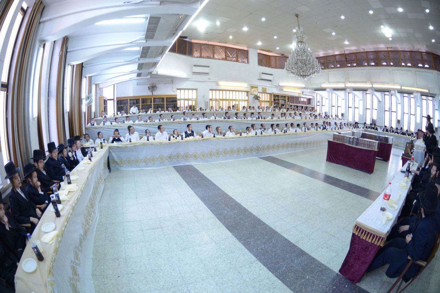 תיעוד: ילדי סאטמר ו'תלמודו בידו'