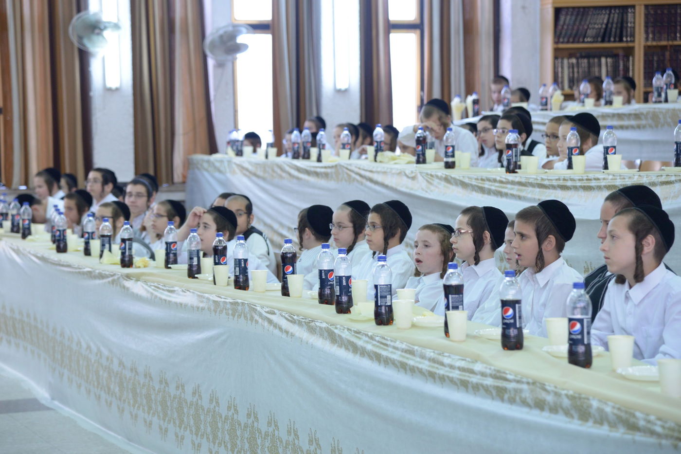 תיעוד: ילדי סאטמר ו'תלמודו בידו'