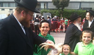 עריכת כפרות בבלגיה