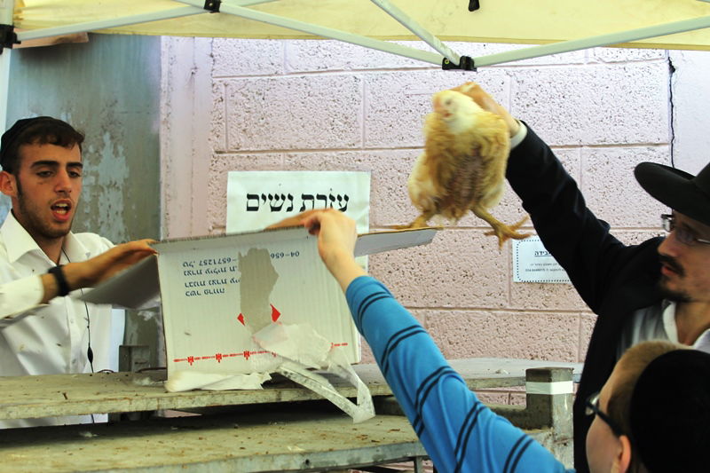 בני ברק מתכוננת לחג הסוכות • צפו