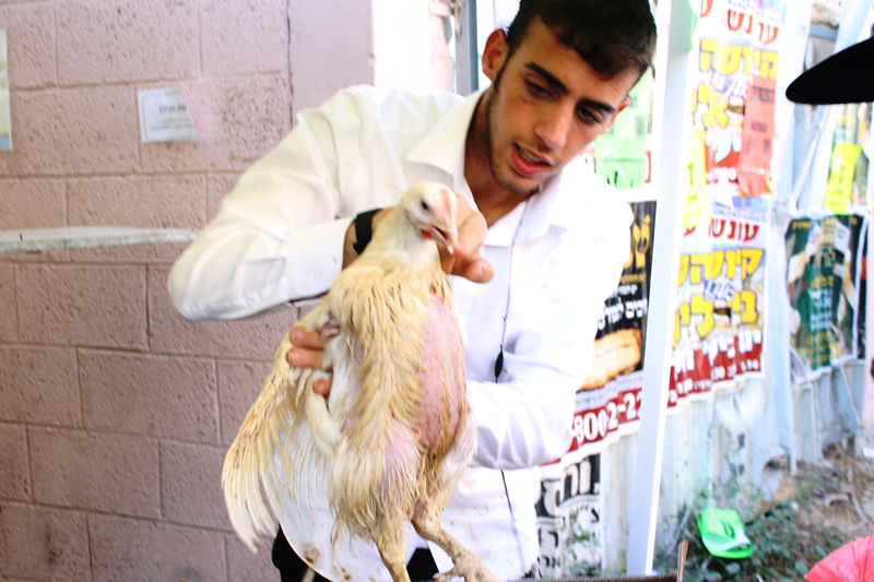 בני ברק מתכוננת לחג הסוכות • צפו