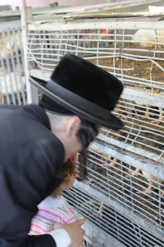 בני ברק מתכוננת לחג הסוכות • צפו