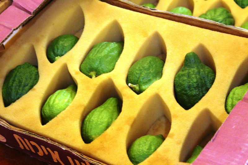 בני ברק מתכוננת לחג הסוכות • צפו