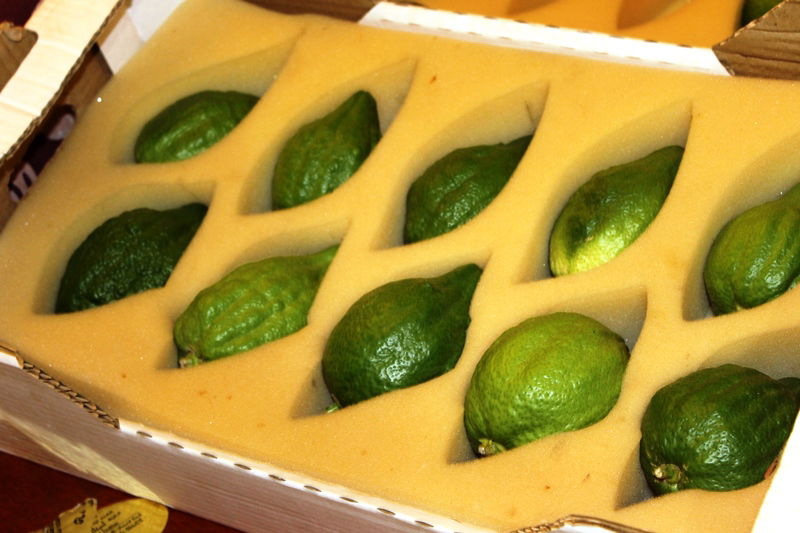 בני ברק מתכוננת לחג הסוכות • צפו