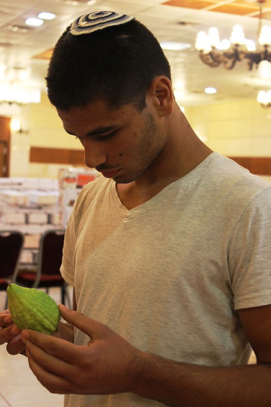 בני ברק מתכוננת לחג הסוכות • צפו