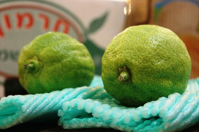 בני ברק מתכוננת לחג הסוכות • צפו