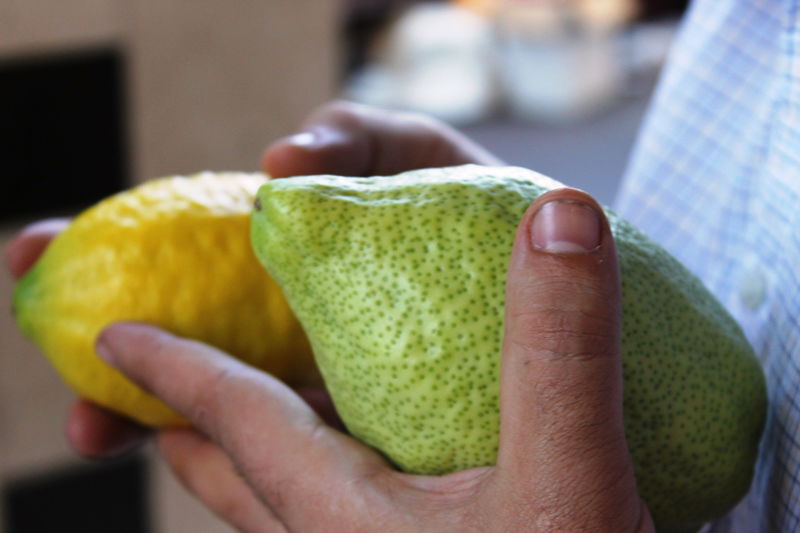 בני ברק מתכוננת לחג הסוכות • צפו