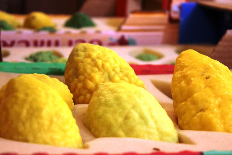 בני ברק מתכוננת לחג הסוכות • צפו