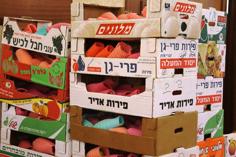 בני ברק מתכוננת לחג הסוכות • צפו