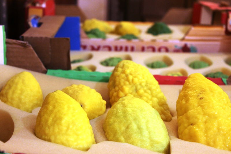 בני ברק מתכוננת לחג הסוכות • צפו