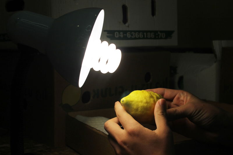 בני ברק מתכוננת לחג הסוכות • צפו