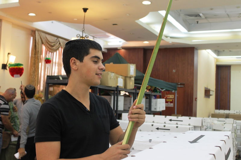 בני ברק מתכוננת לחג הסוכות • צפו