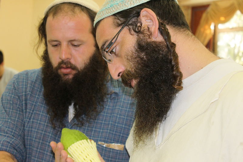 בני ברק מתכוננת לחג הסוכות • צפו