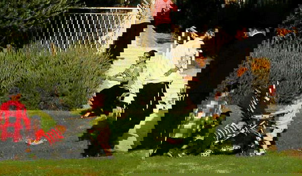 אילוסטרציה