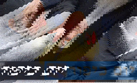 זֶה חֲלִיפָתִי: מרן רבי חיים קנייבסקי ערך "כפרות"