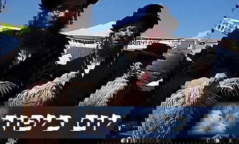 כפרות במאה שערים