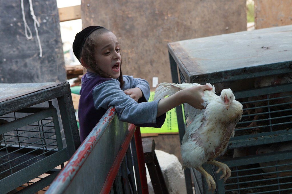 גלריה: שכונת מאה שערים עשתה כפרות