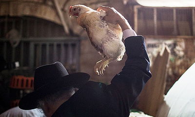 גלריה: ה"כפרות" של מאה שערים