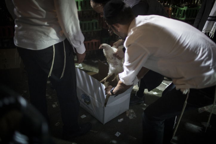גלריה: ה"כפרות" של מאה שערים