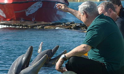 ראש הממשלה בנימין נתניהו