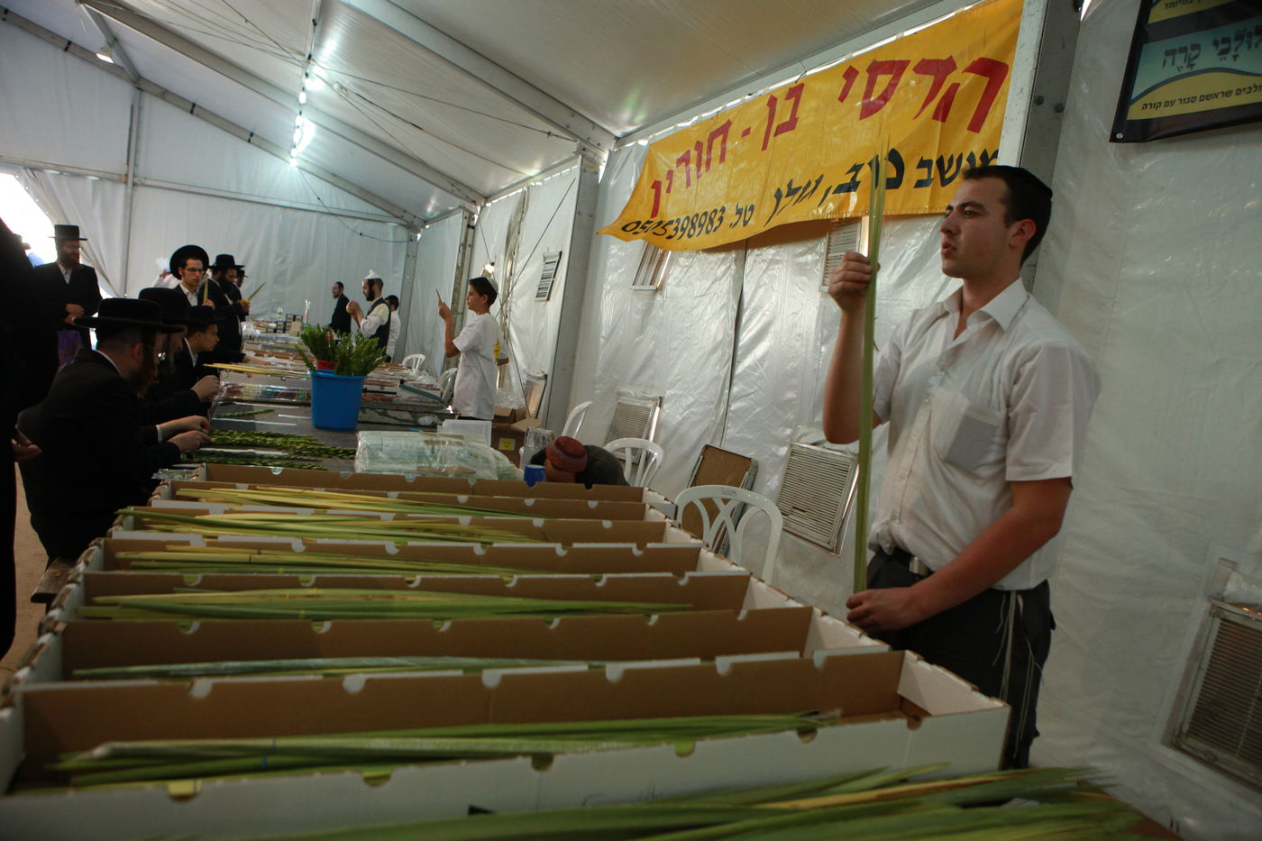 ולקחתם לכם • הירושלמים בחרו ארבעת המינים