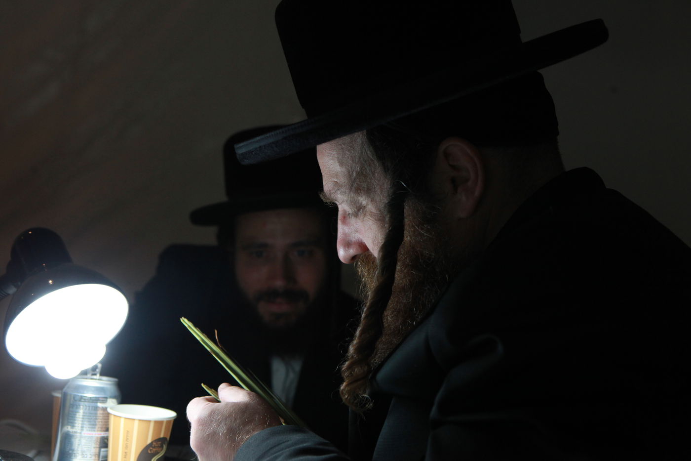 ולקחתם לכם • הירושלמים בחרו ארבעת המינים