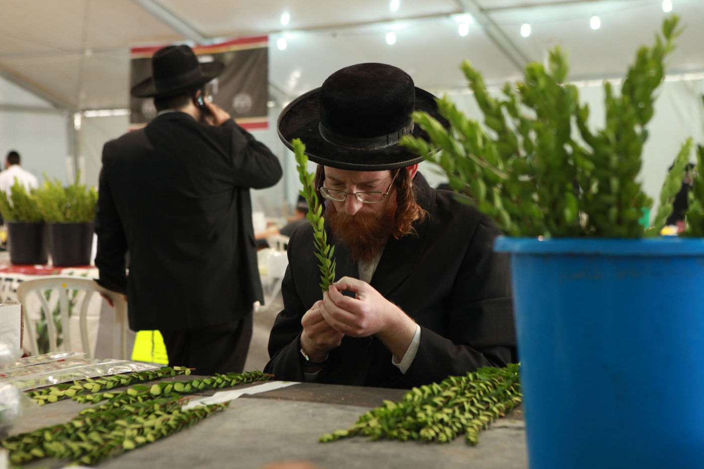 ולקחתם לכם • הירושלמים בחרו ארבעת המינים