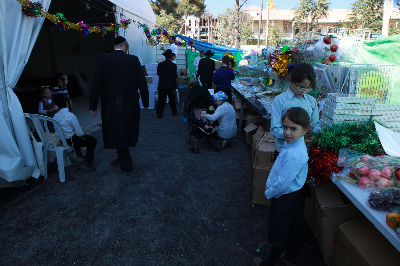ולקחתם לכם • הירושלמים בחרו ארבעת המינים