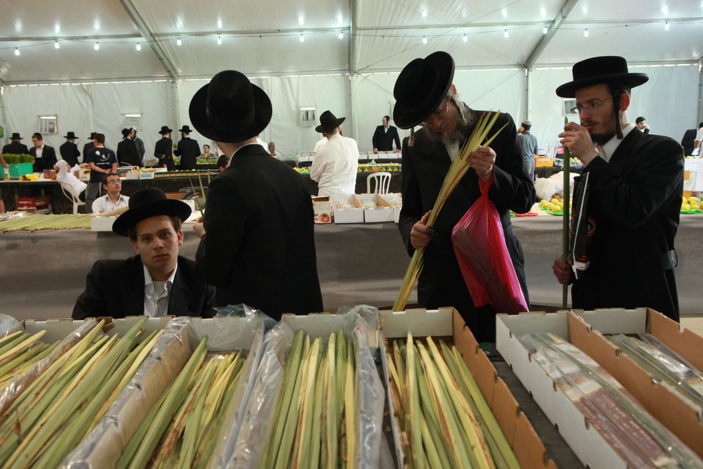 ולקחתם לכם • הירושלמים בחרו ארבעת המינים