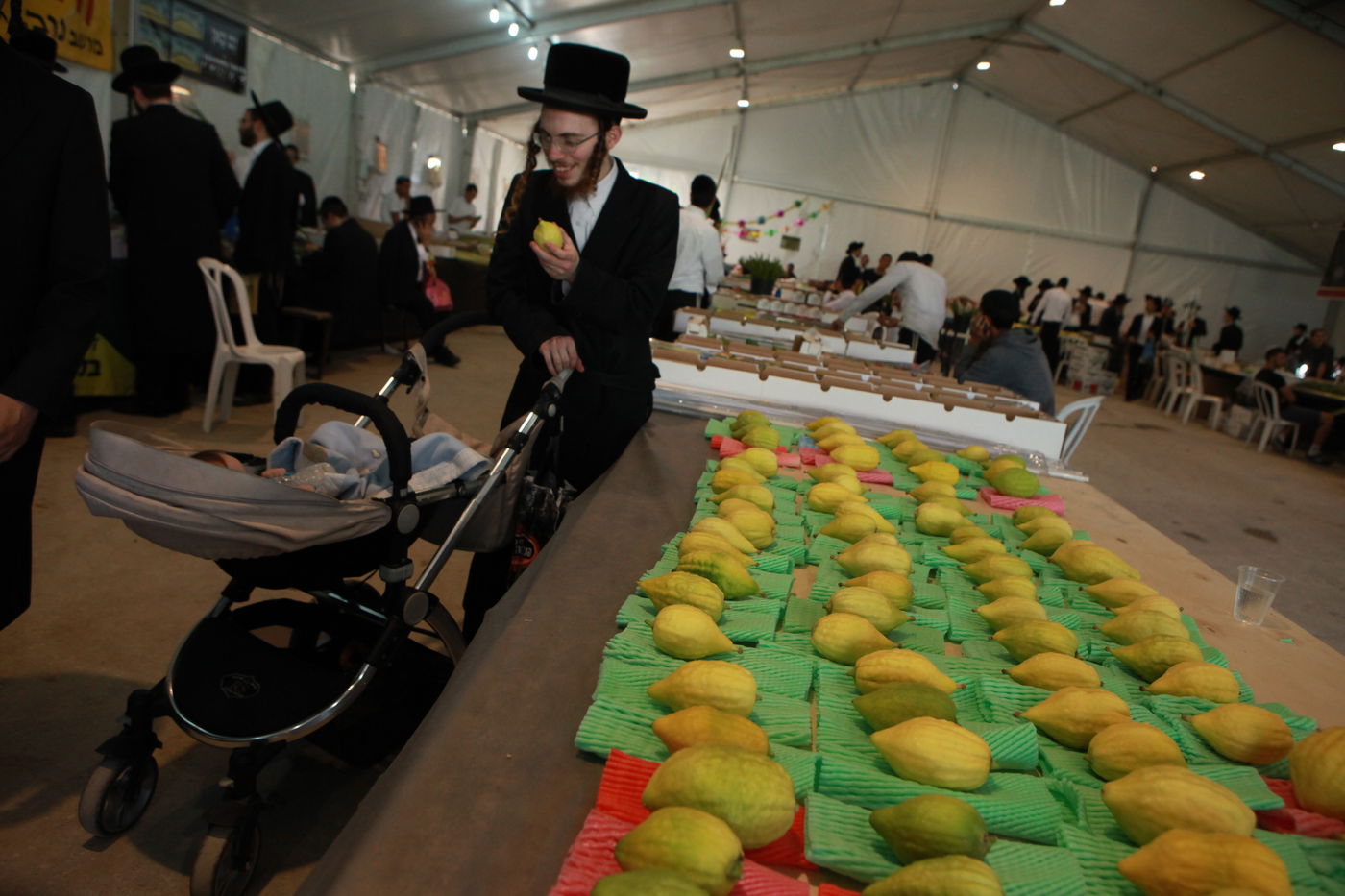 ולקחתם לכם • הירושלמים בחרו ארבעת המינים