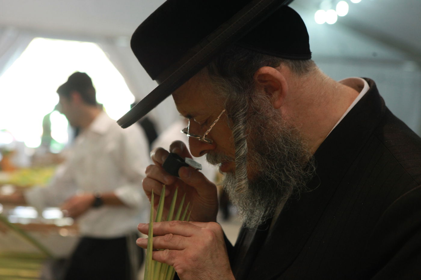 ולקחתם לכם • הירושלמים בחרו ארבעת המינים