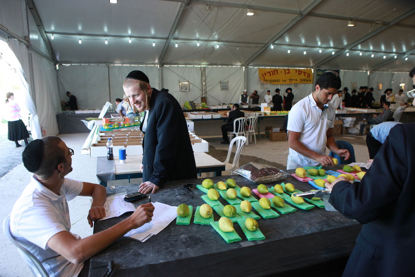 ולקחתם לכם • הירושלמים בחרו ארבעת המינים