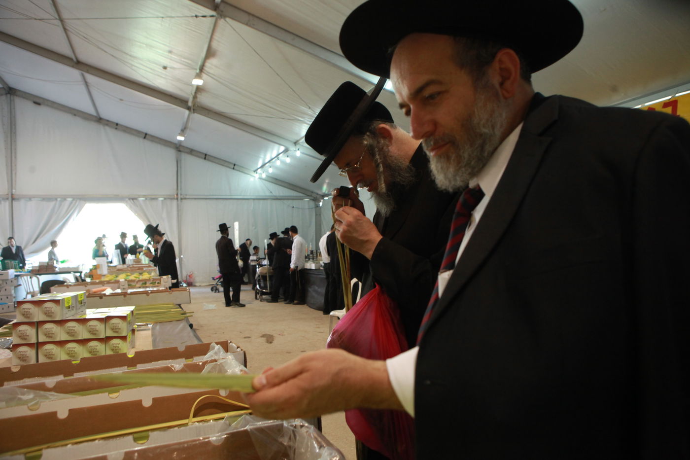 ולקחתם לכם • הירושלמים בחרו ארבעת המינים