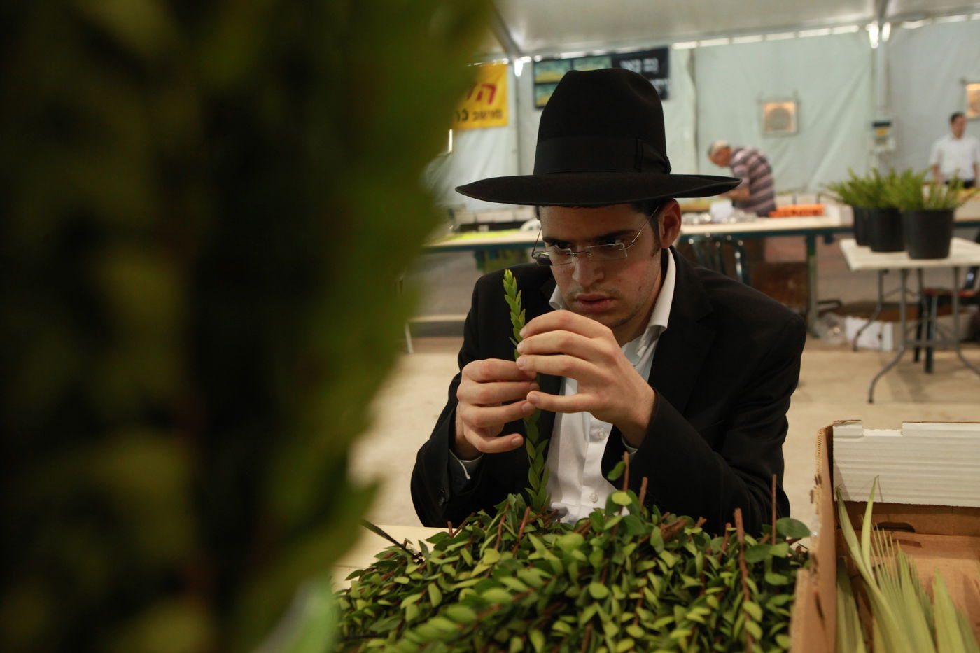 ולקחתם לכם • הירושלמים בחרו ארבעת המינים